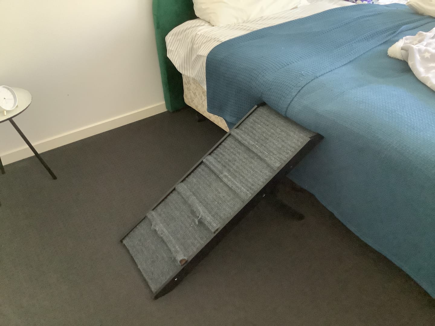 Customer photo review of PaWz Adjustable Dog Ramp