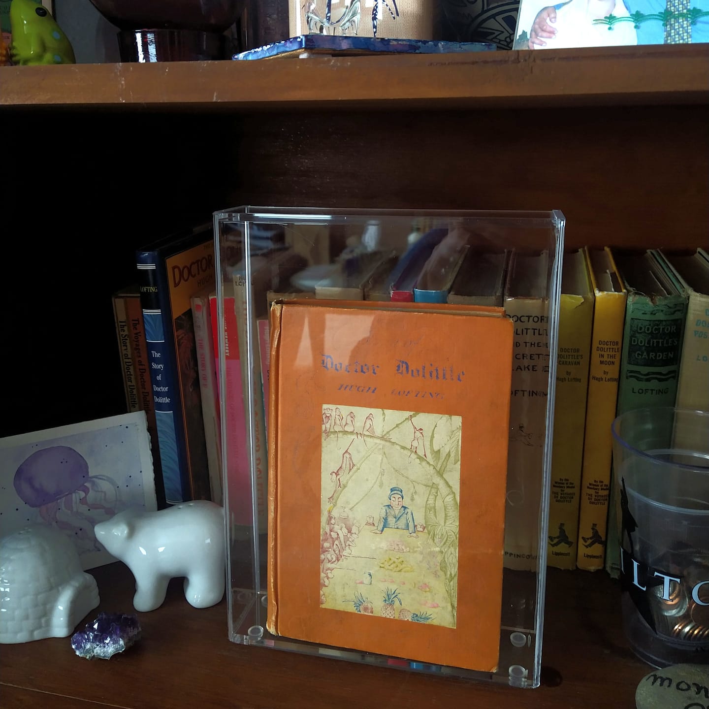 Customer photo review of Acrylic Book Display Cases – Better Display Cases