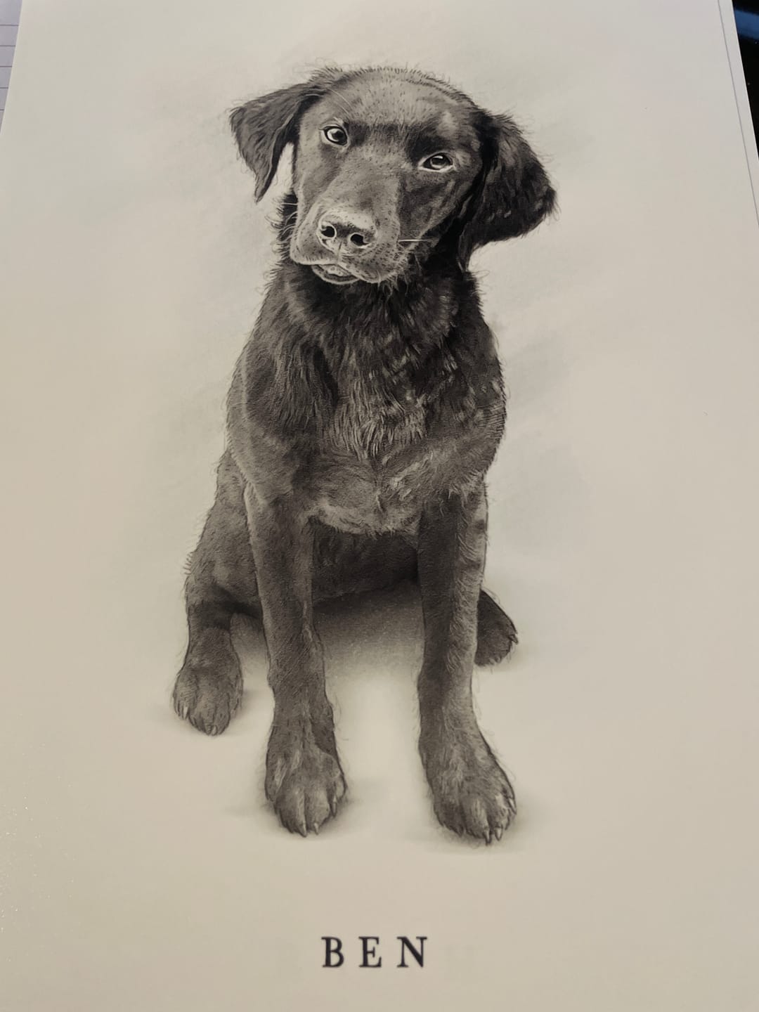 Customer photo review of Custom Pet Portrait From Your Photos – Black & White