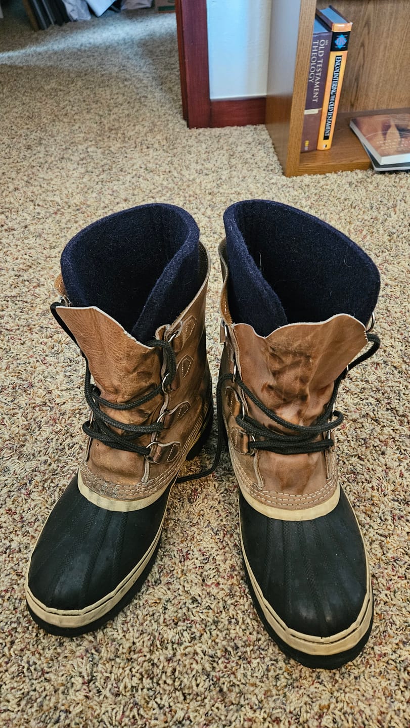 Customer photo review of Wool Felt Replacement Boot Liners (826 BB)