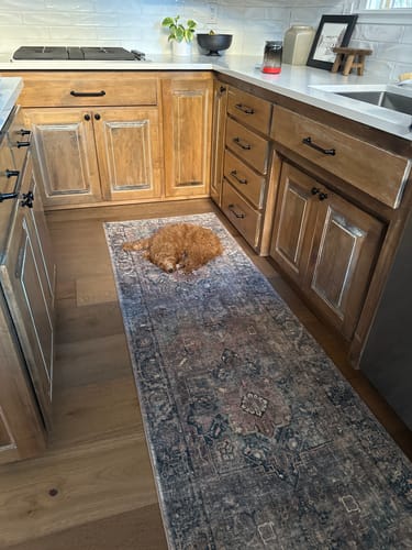Customer photo review of Siena Rug