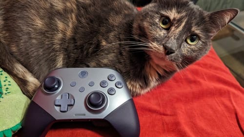 Customer photo review of EasySMX® X10 Controller with Mechanical Buttons and Hall Joysticks