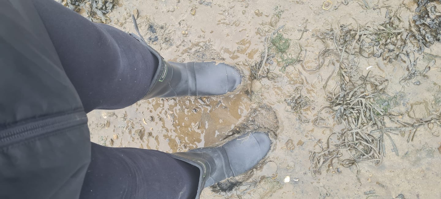 Customer photo review of Windsor Short Wellingtons Black