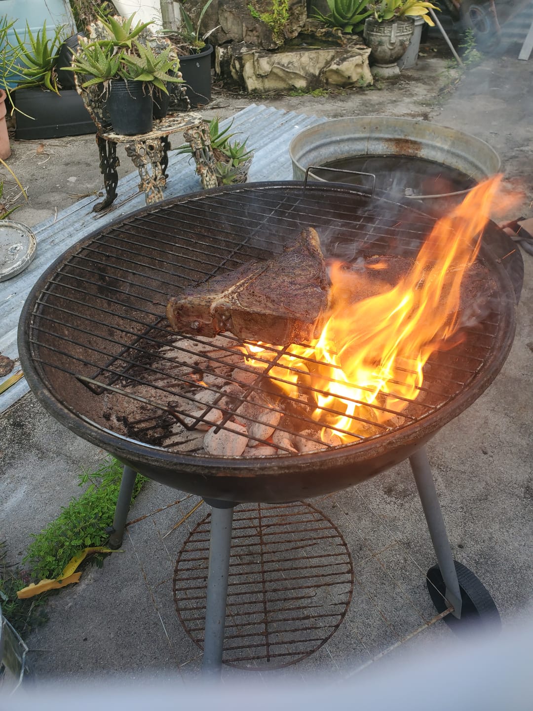 Customer photo review of Surf 'n' Turf 3 Gourmet Deal