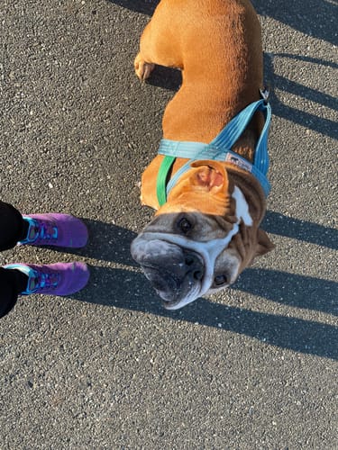 Customer photo review of FreeⅠ - Barefoot Shoes