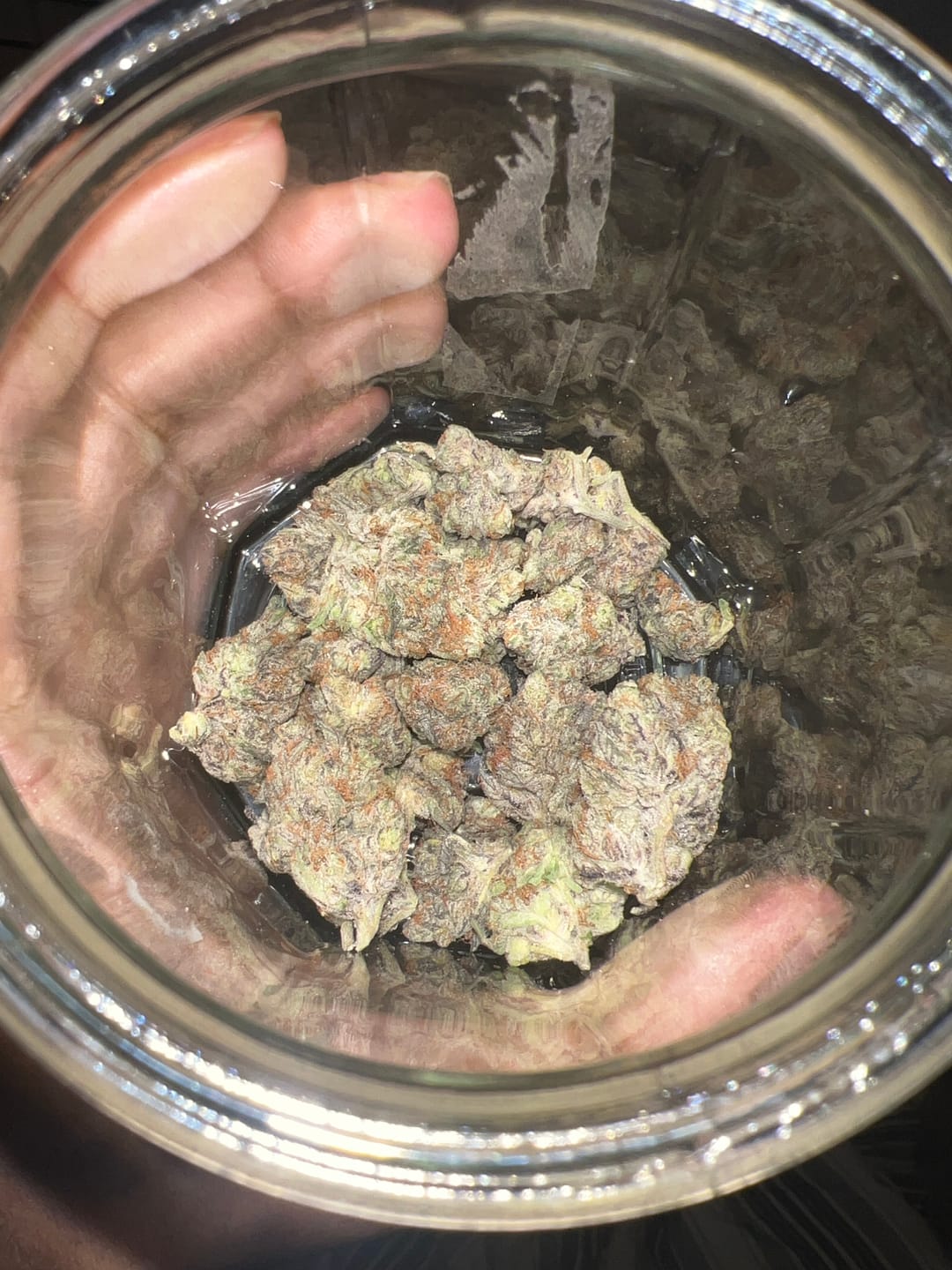 Customer photo review of Jealousy - THCa Flower