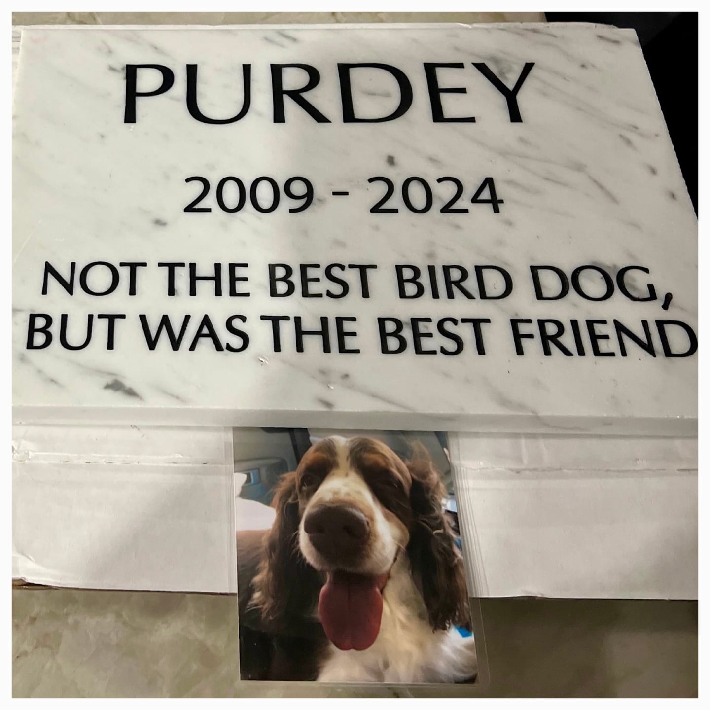 Customer photo review of Marble Marker, Pet headstones, Custom Outdoor Engraved In Loving Memory