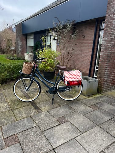 Customer photo review of E-Cargo N3