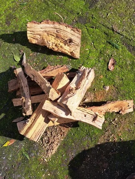 Customer photo review of Wood Splitter Drill Bit