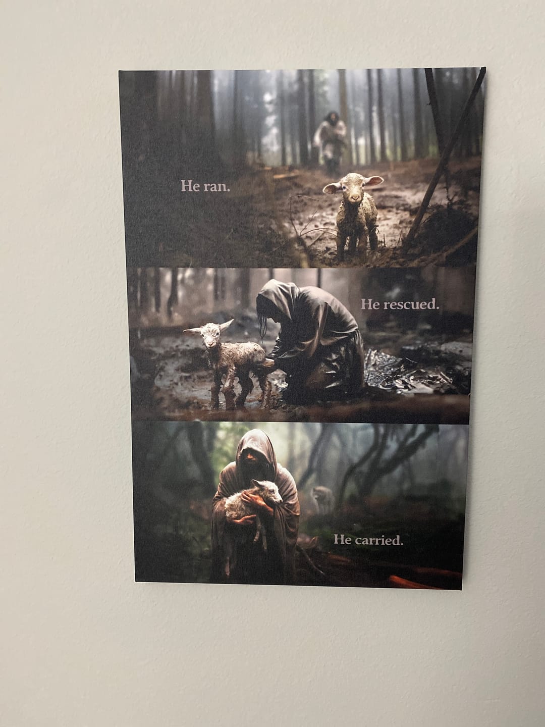 Customer photo review of He Ran, He Rescued, He Carried, Jesus and Lost Sheep, Wall Art Canvas
