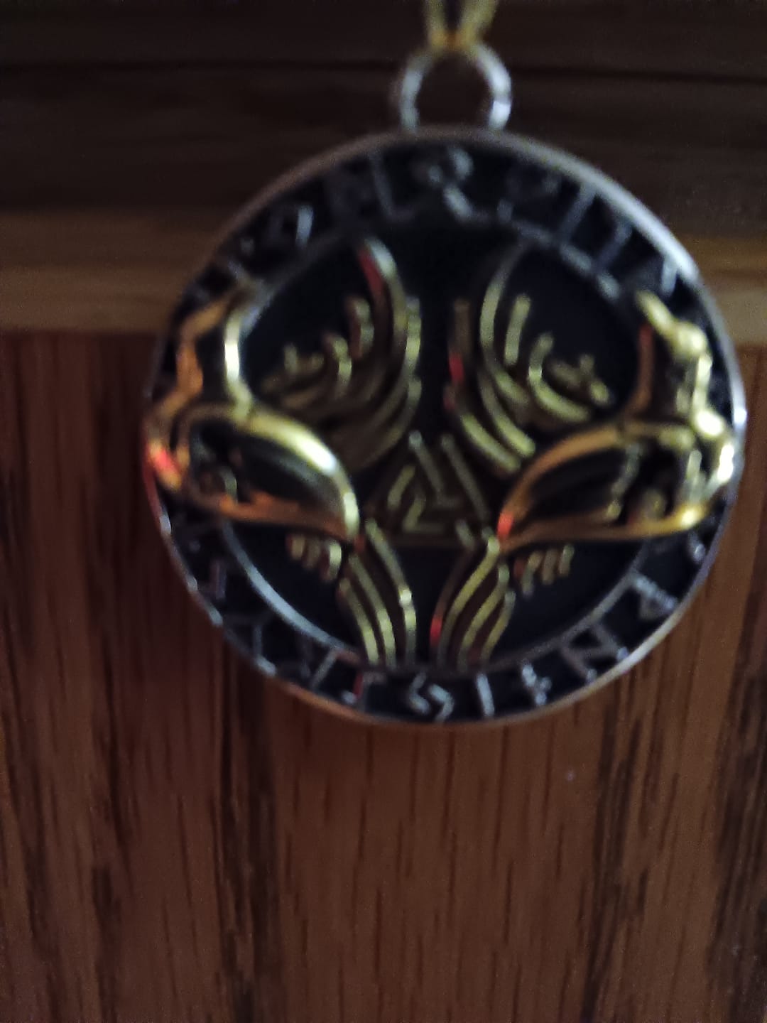 Customer photo review of Norse Raven's & Vegvisir Stainless Steel Necklace