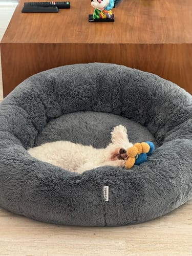 Customer photo review of Cama Antiestrés Para Perros