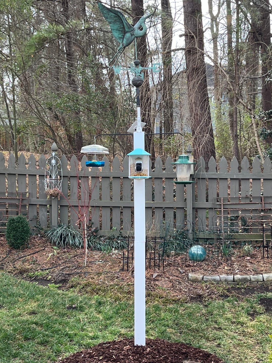 Customer photo review of Birdfy Solar Panel - Type C