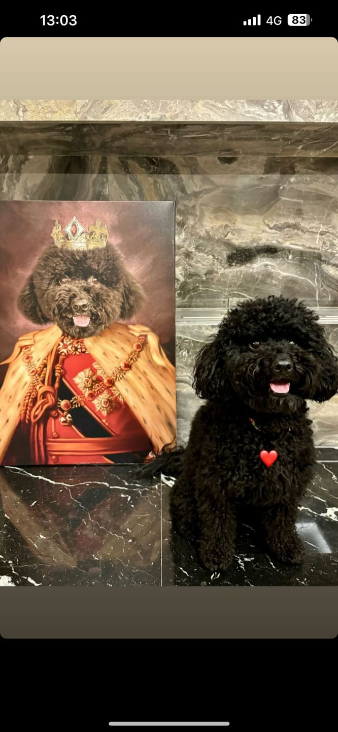Customer photo review of The King of the Seven Kingdoms