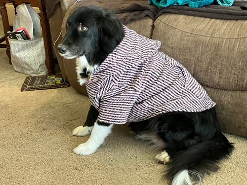 Customer photo review of Playa Poncho - Surprise Color