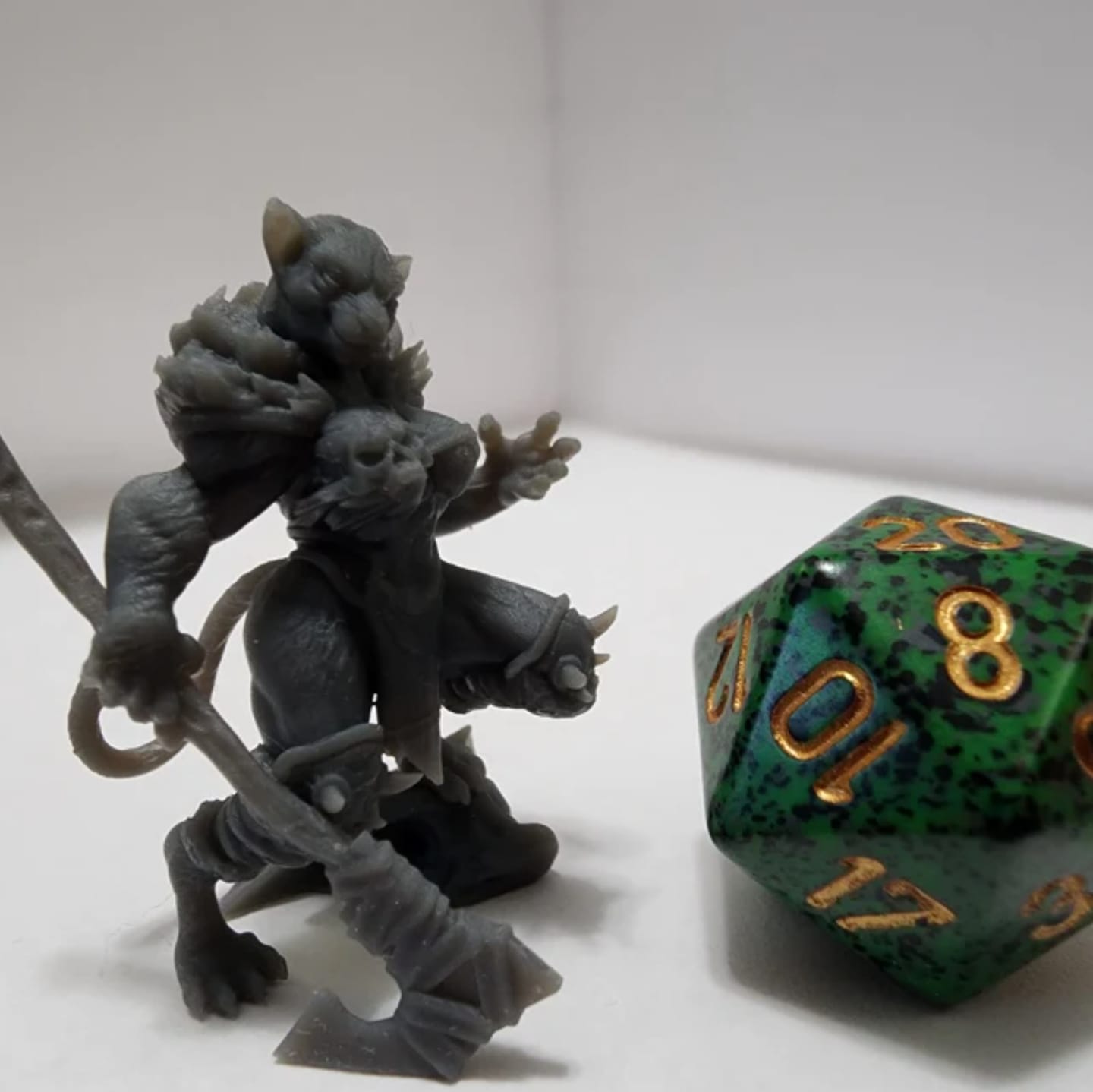 Customer photo review of Tabaxi Barbarian, Female