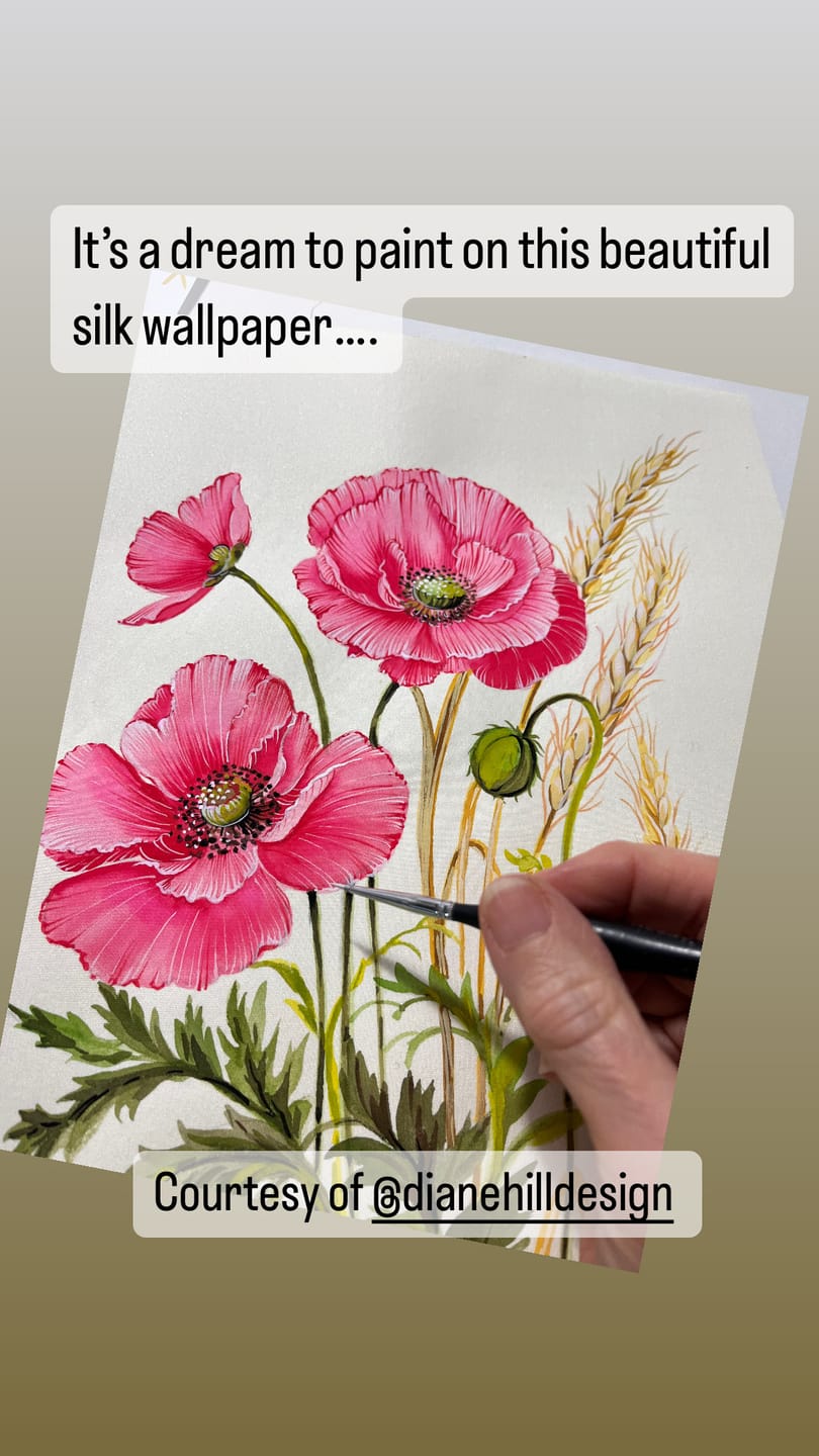 Customer photo review of Silk Paper