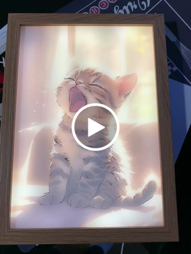 Customer video review of Cat LED Light Painting Lamp Artwork - A Fusion of Light and Art | Yawning Kitty in Sunlight