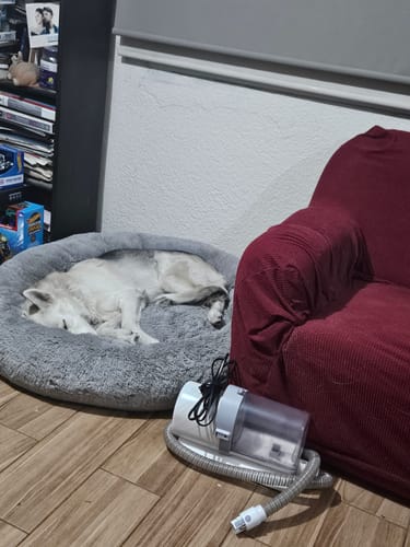 Customer photo review of Cama Antiestrés Para Perros