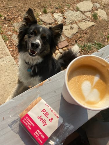 Customer photo review of Peanut Butter & Jelly Protein Bar - Box of 12