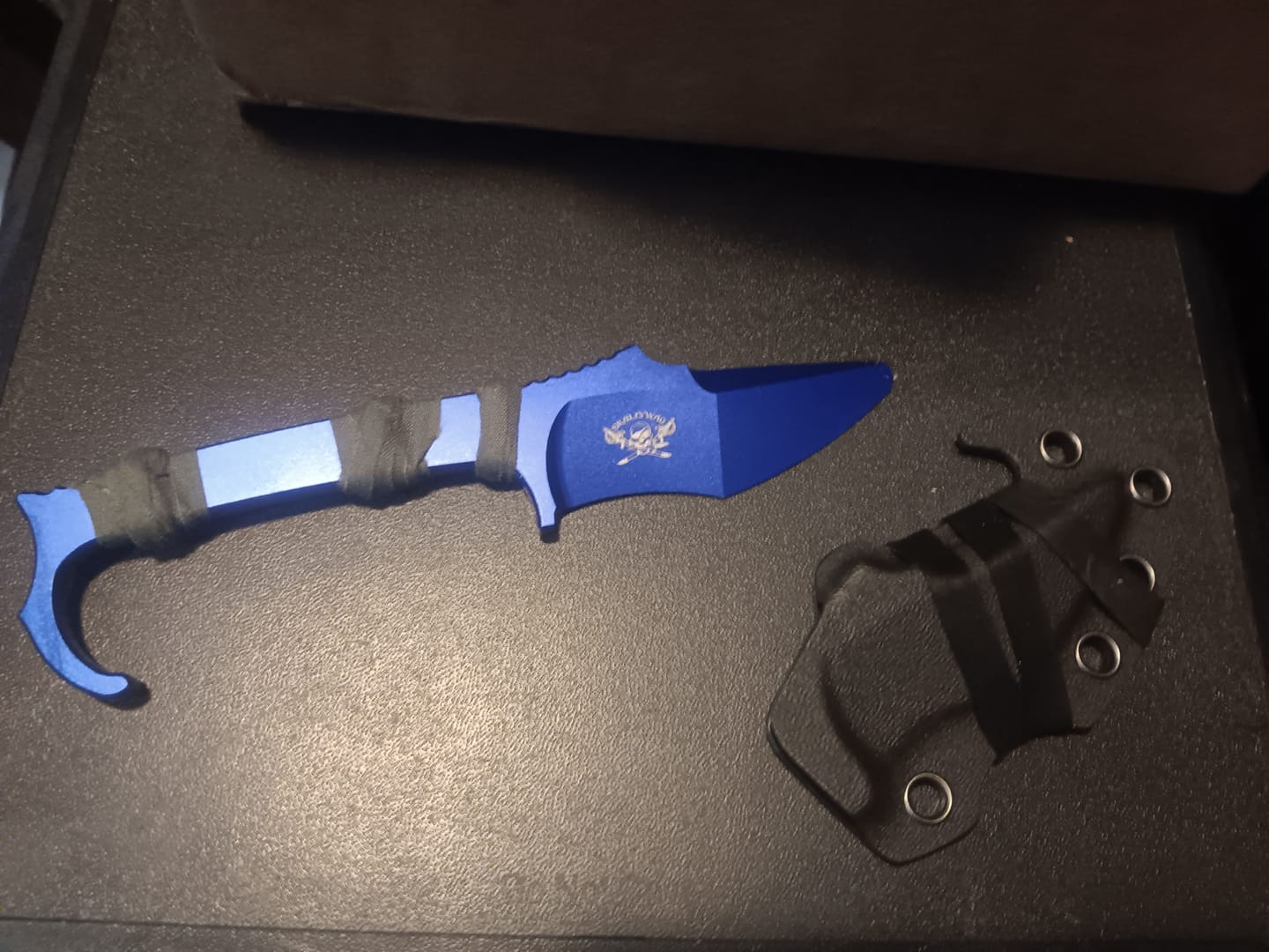 Customer photo review of MDV Trainer (Blue)