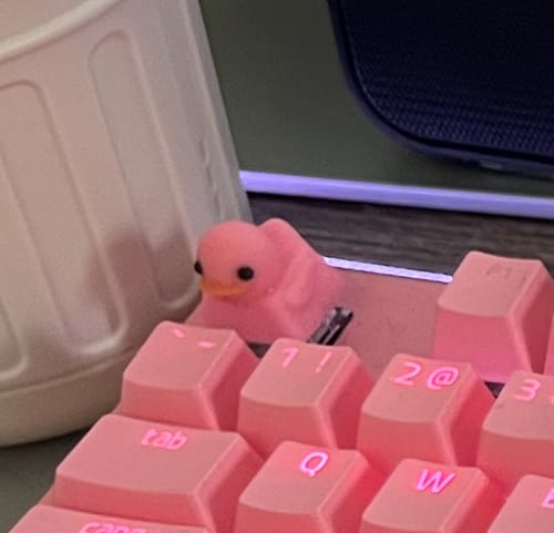 Customer photo review of V-DAY Starter Bundle