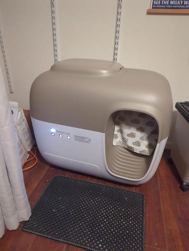 Customer photo review of Self-Cleaning Litter Box