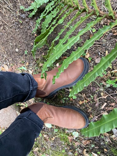 Customer photo review of Botín Original Café Rústico Hombre