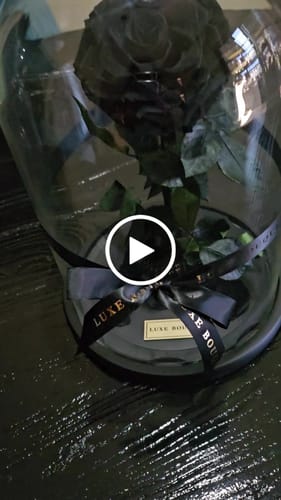 Customer video review of The Everlasting Rose - Black