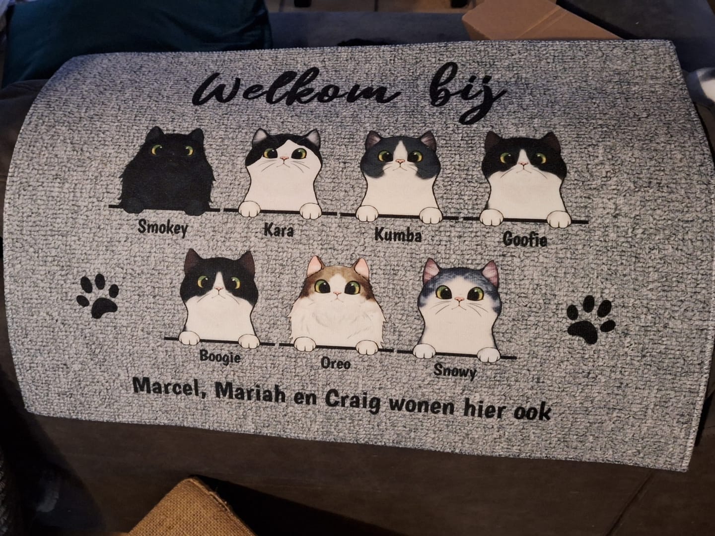 Customer photo review of Welkom bij nieuwsgierige katten - Gepersonaliseerde deurmat