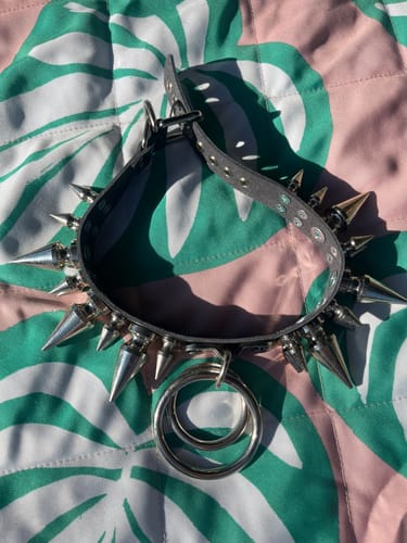 Customer photo review of Heavy Metal Double O Collar
