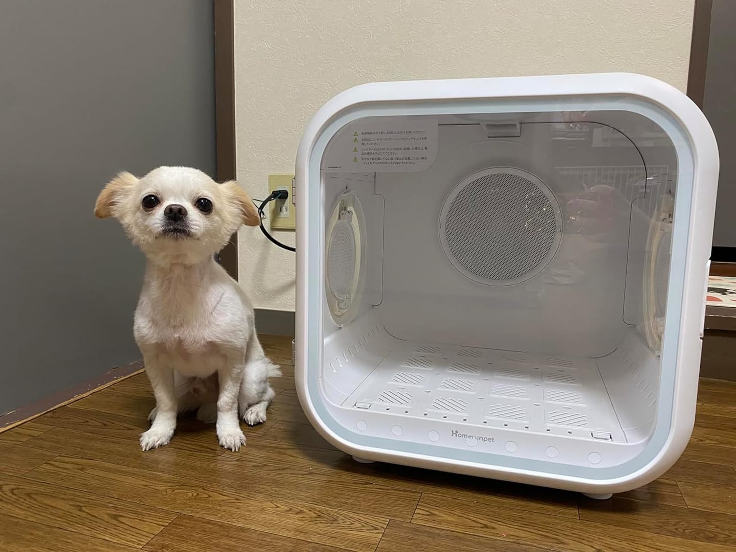 Customer photo review of homerunPET Dryboシリーズ ペットドライヤーハウス（50L・62L）