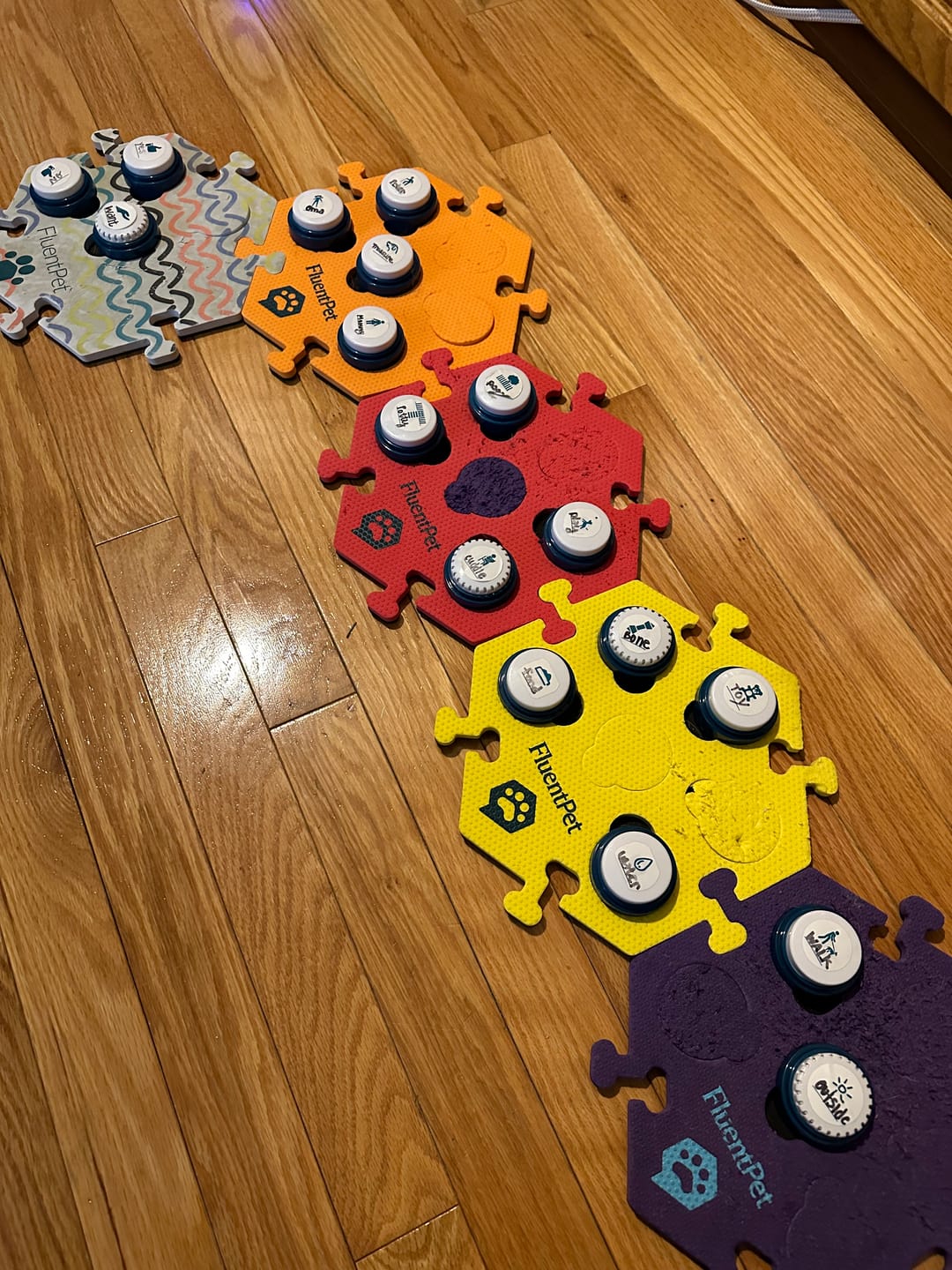 Customer photo review of Classic Speak Up Button Multipacks
