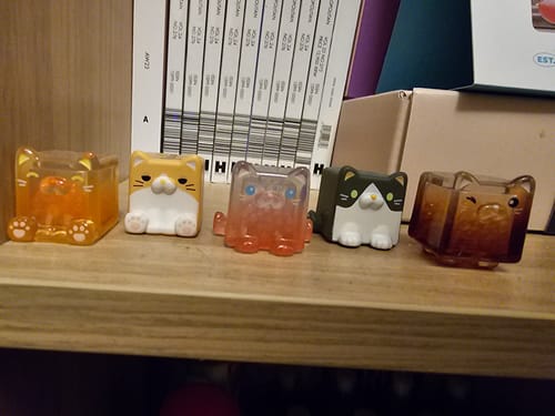 Customer photo review of Square Cat Series Blind Bag