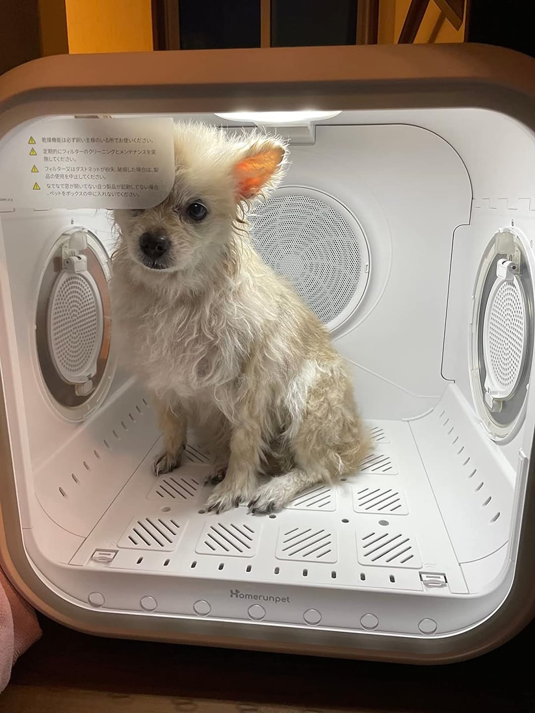 Customer photo review of homerunPET Dryboシリーズ ペットドライヤーハウス（50L・62L）