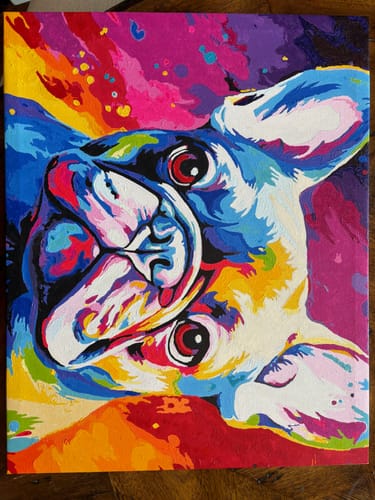 Customer photo review of Colorful Canine Contemplation