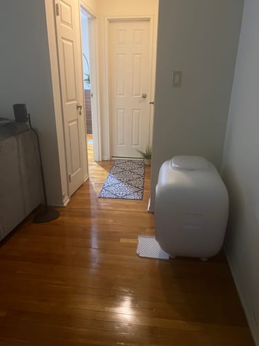 Customer photo review of Self-Cleaning Litter Box
