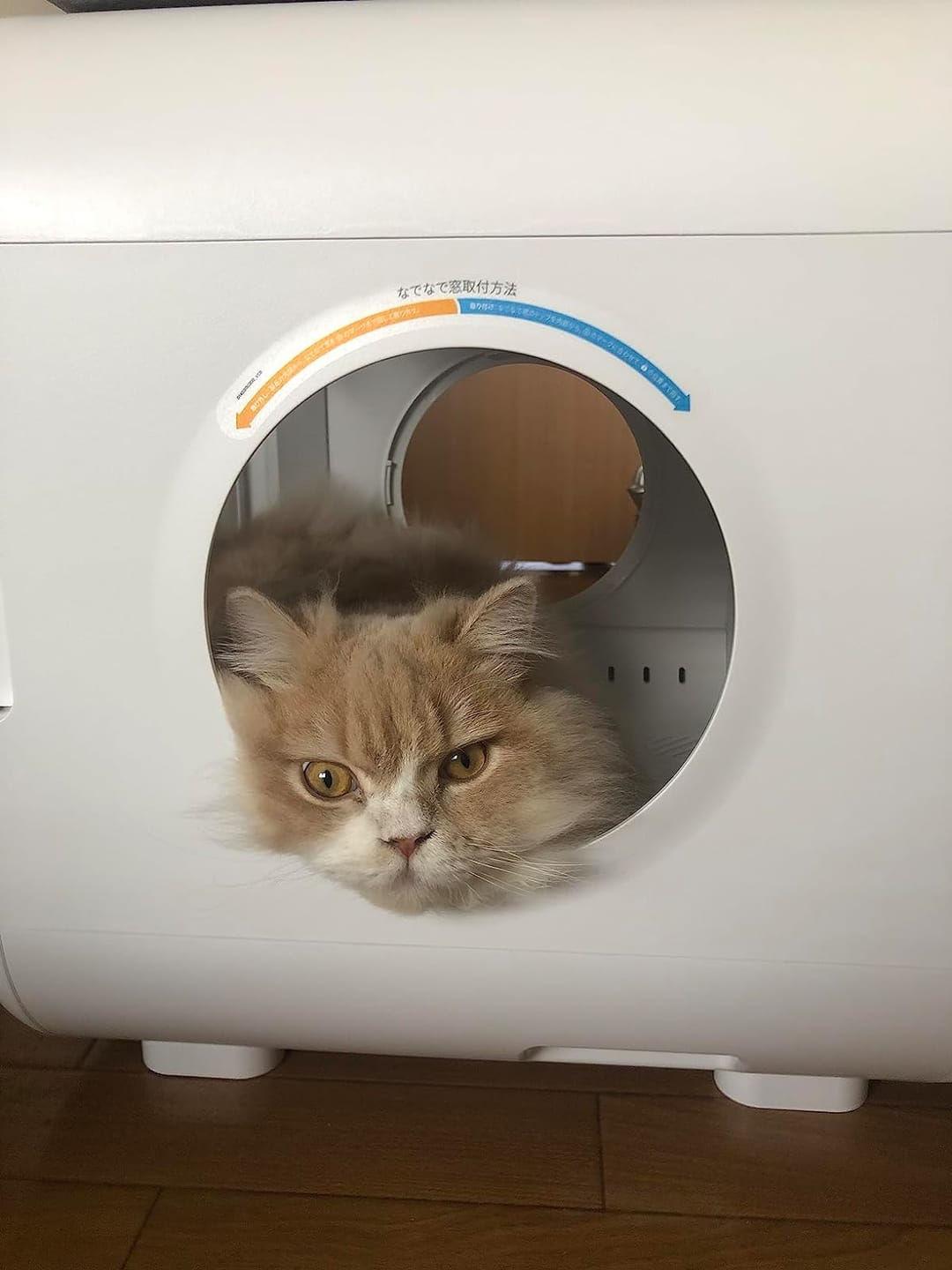 Customer photo review of homerunPET Dryboシリーズ ペットドライヤーハウス（50L・62L）