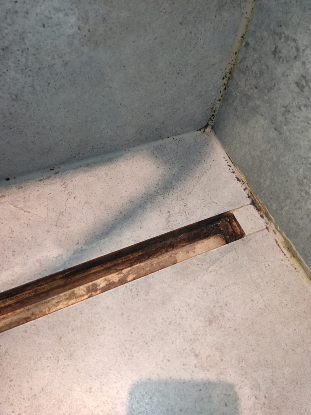 Customer photo review of Fungex Home