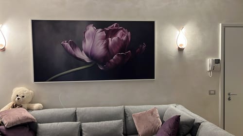 Customer photo review of Viola Incantata