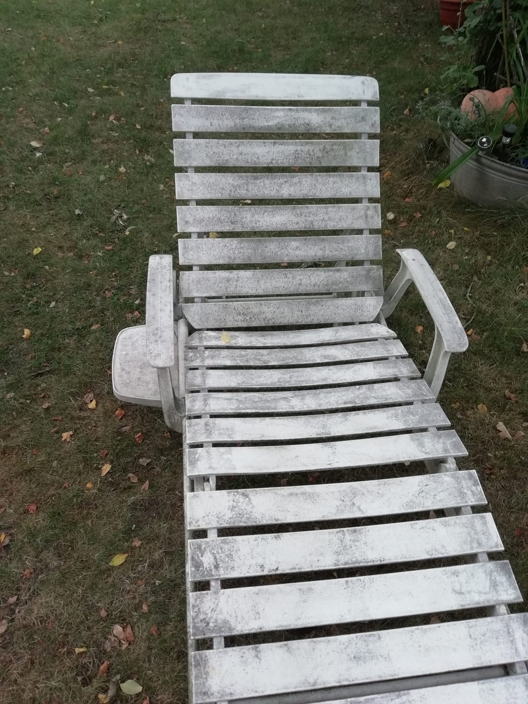 Customer photo review of Fungex Home