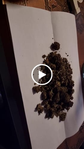 Customer video review of HHC Blütenmix 20g