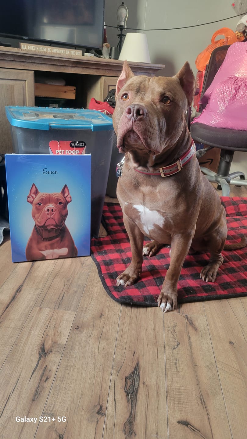 Customer photo review of Custom Pet Portrait