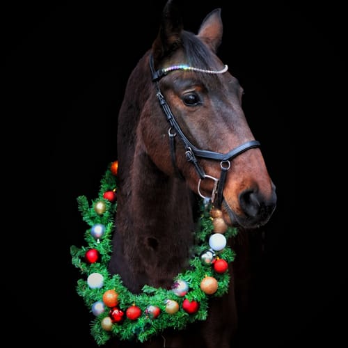 Customer photo review of White rainbow browband