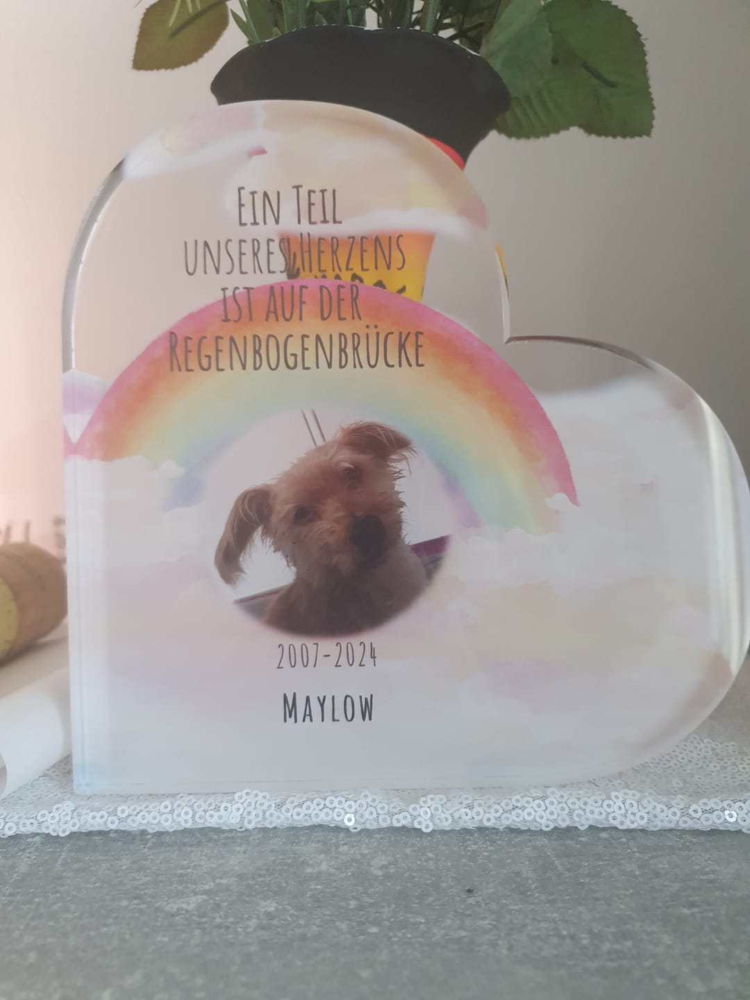 Customer photo review of Dein Foto mit Regenbogen - Individuelles Glasherz