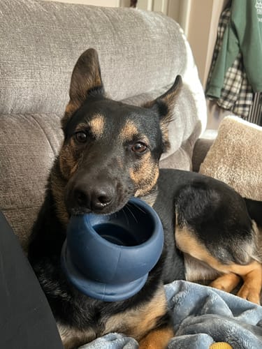 Customer photo review of Freezball - Durable Fillable Dog Chew Bone