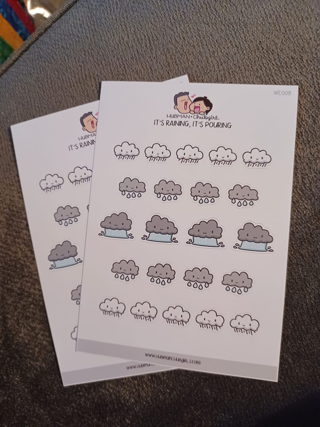 Customer photo review of It's Raining, It's Pouring Planner Stickers