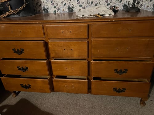 Customer photo review of One Step Paint - Lady Singing the Blues