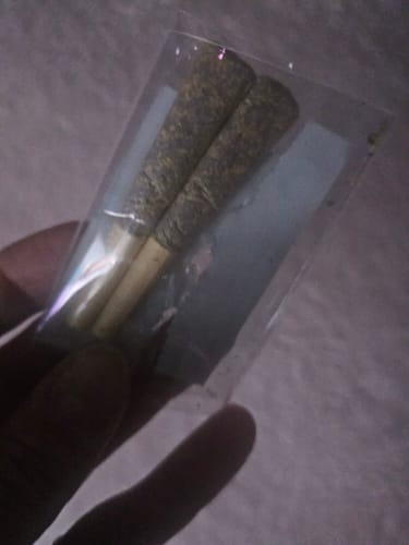 Customer photo review of Blue Lotus Flower Pre Rolls