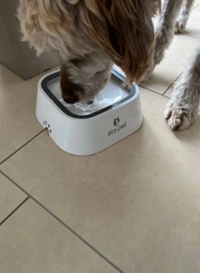 Customer photo review of els pet - Wassernapf 1.5l